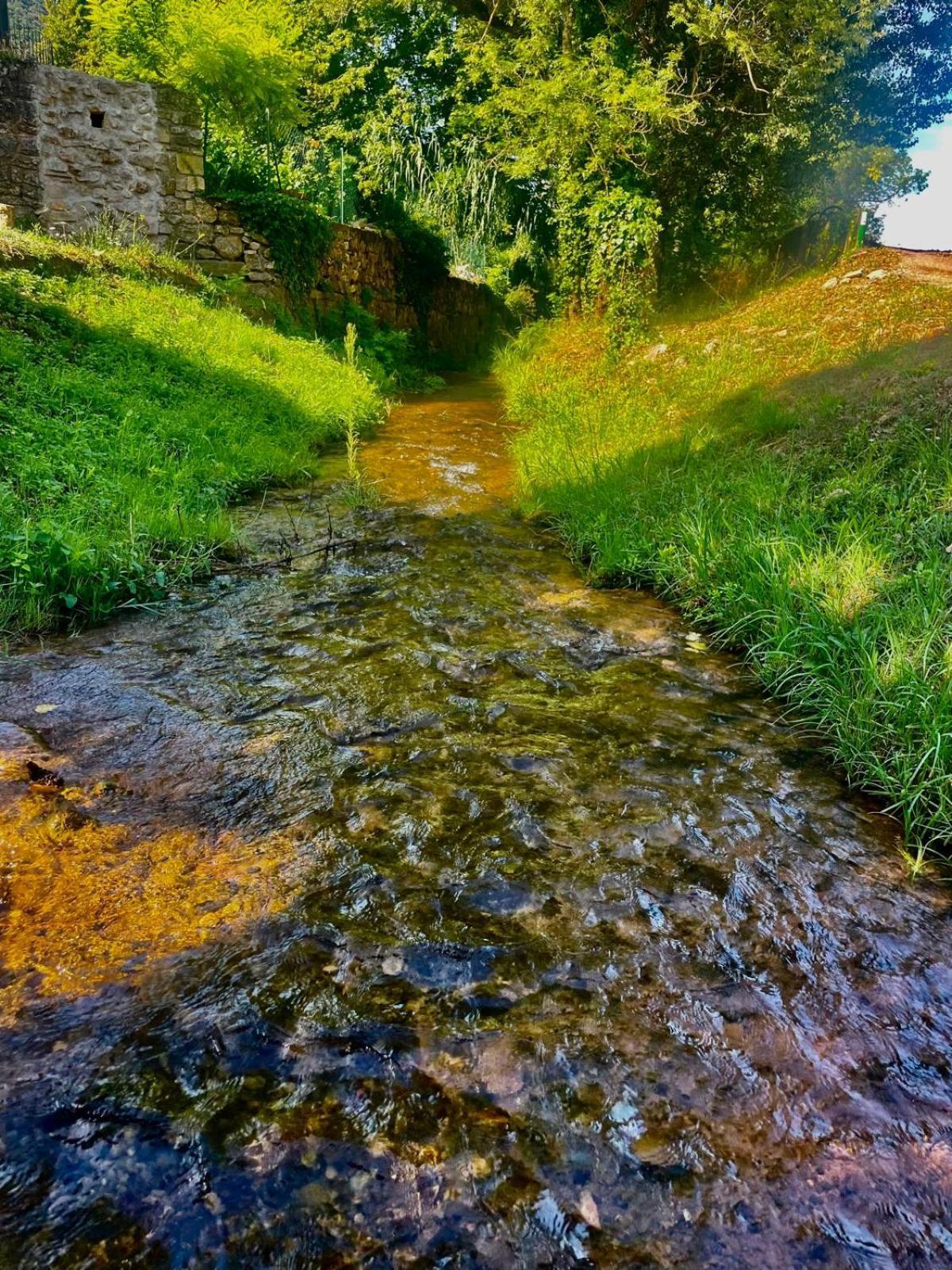 Moulin Gaillard Bédarieux Exterior foto